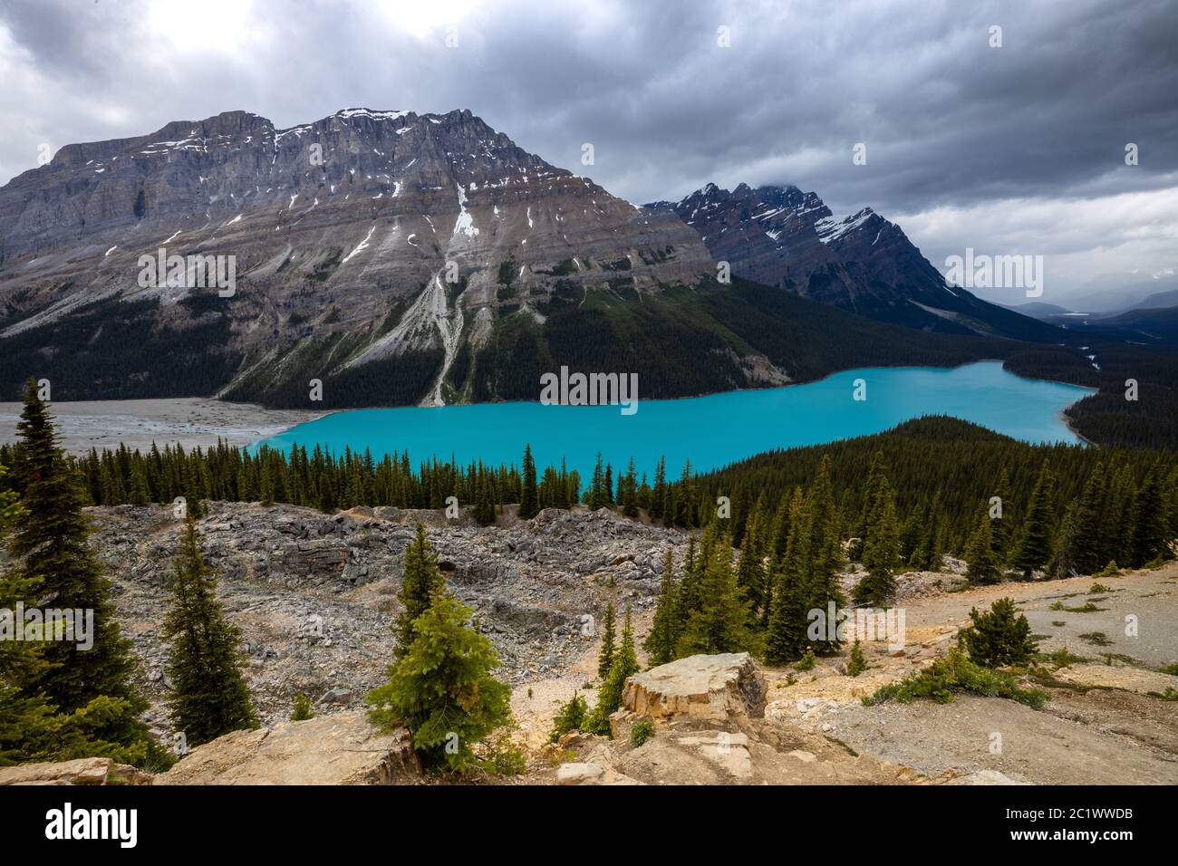 Lake Peyto in Banff National Park in Canada Stock Photo - Alamy