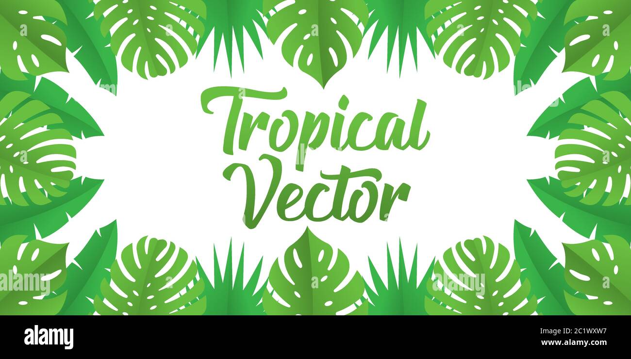 Tropical Vector Background Design Illustration. Tropical leaves Vector flat design illustration. Abstract Tropical Summer background design template. Stock Vector