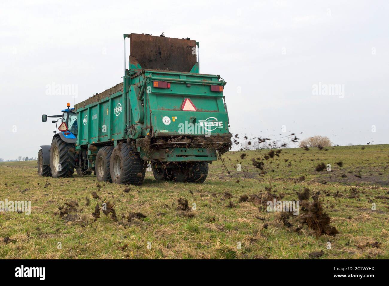 spreading manure on a meadow, Netherlands Stock Photo Alamy