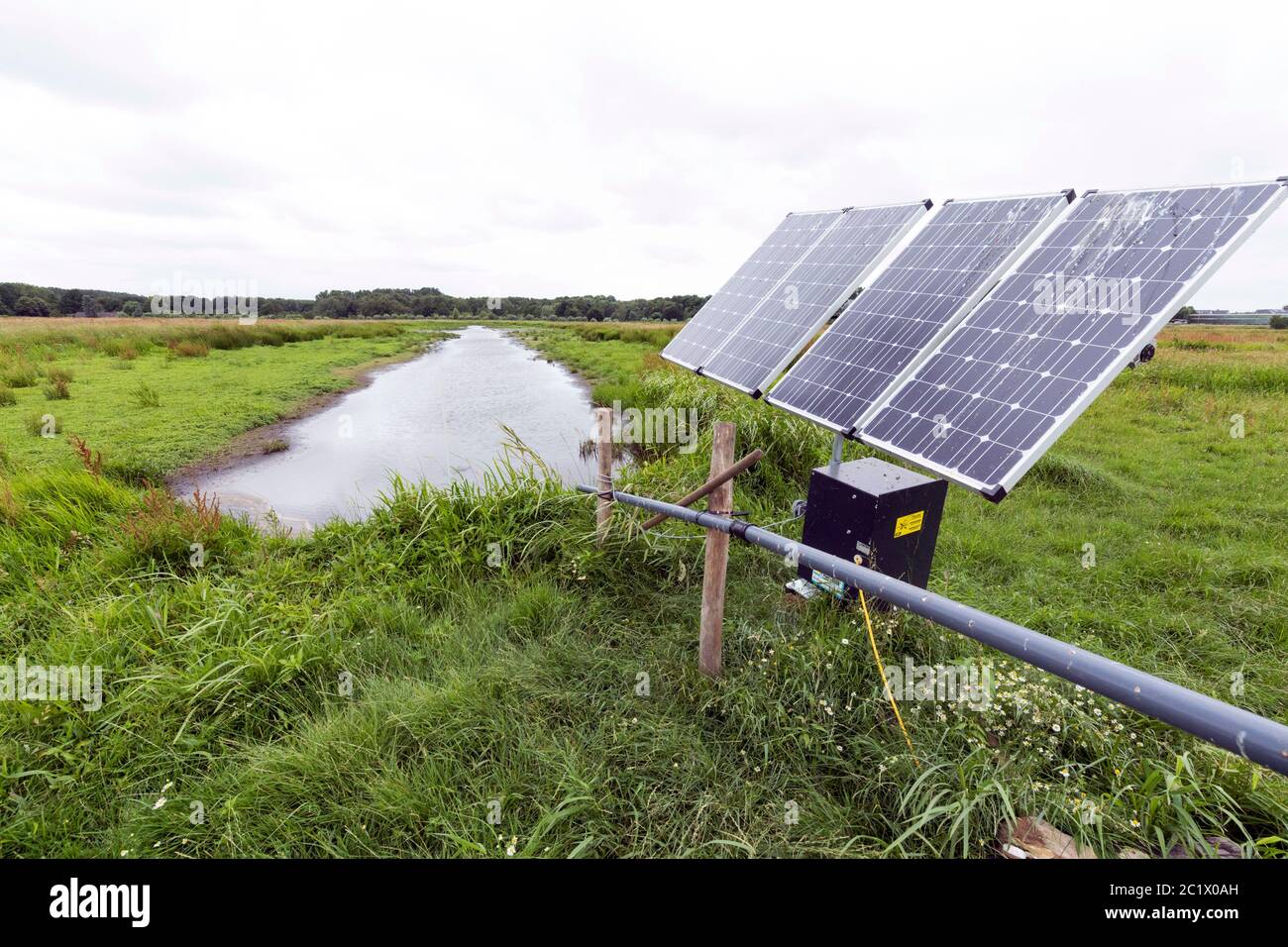 farmland with solar panels in use, Netherlands, South Holland, Waddinxveen Stock Photo