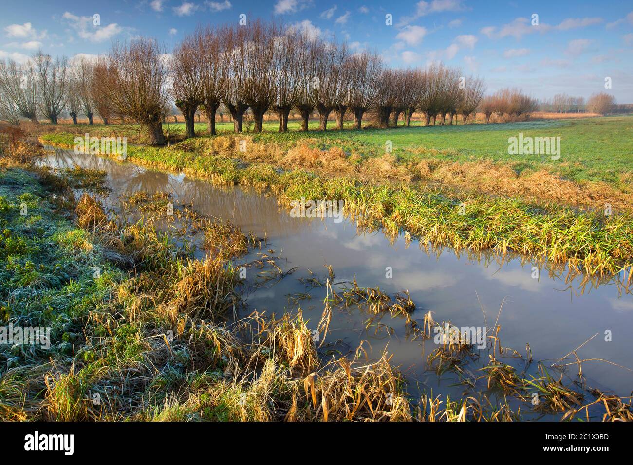 Langemeersen nature reserve in a winter morning, Belgium, East Flanders, Langemeersen, Oudenaarde Stock Photo