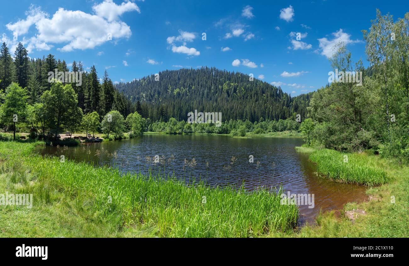 Lake Sankenbachsee near Baiersbronn in the Black Forest, Germany in summer with blue and white sky Stock Photo
