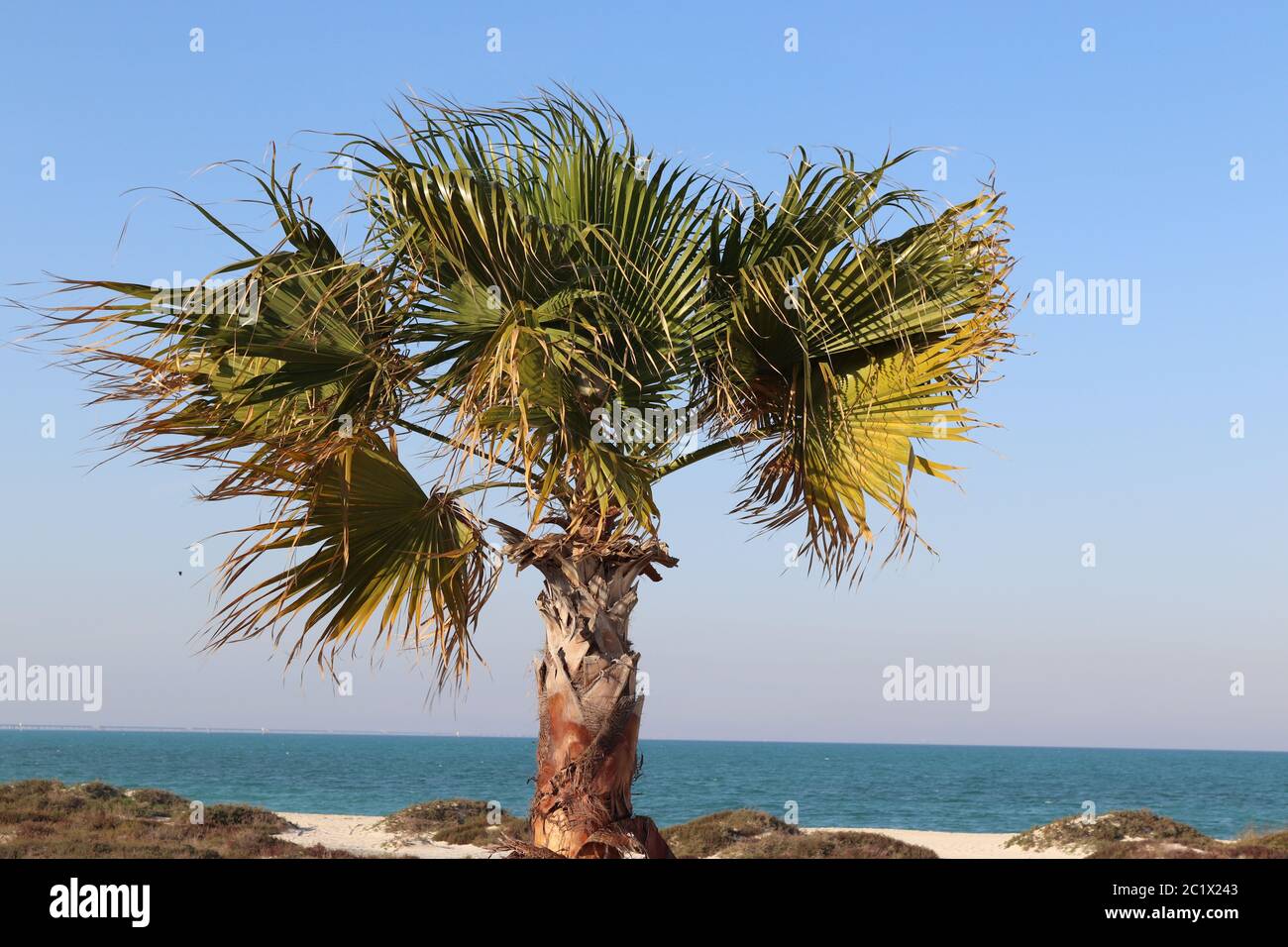 Ras Tanura Beach of East Saudi Arabia Stock Photo