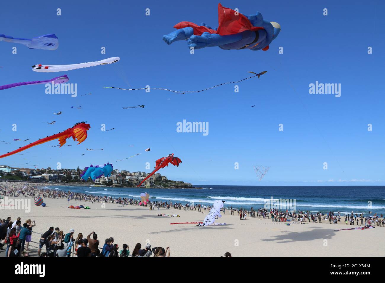 Australia’s largest kite flying festival, the ‘Festival of the Winds’ was held at Sydney’s