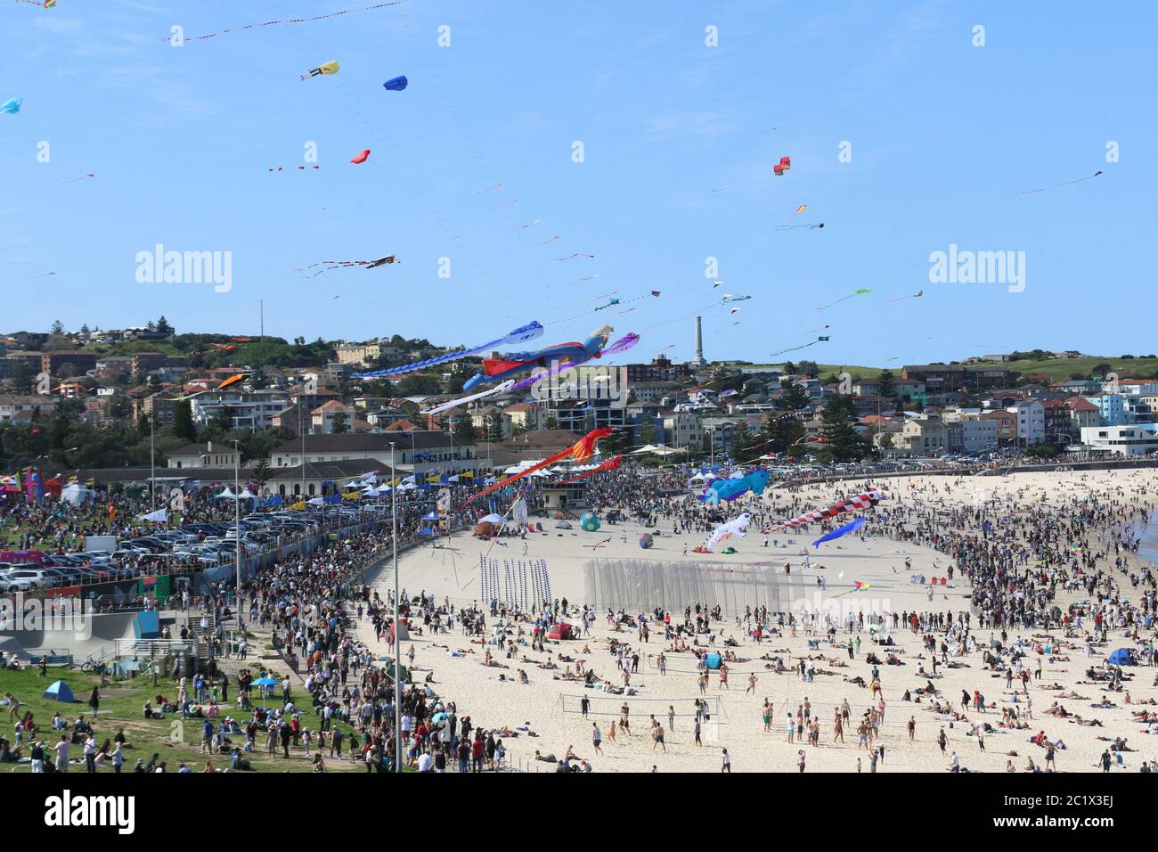Australia’s largest kite flying festival, the ‘Festival of the Winds