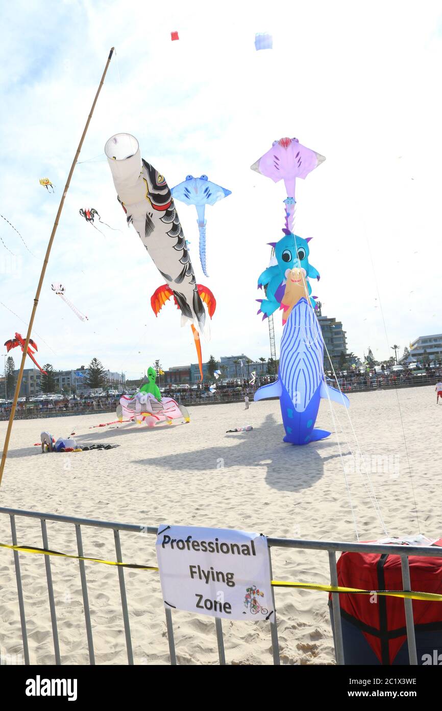 Australia’s largest kite flying festival, the ‘Festival of the Winds