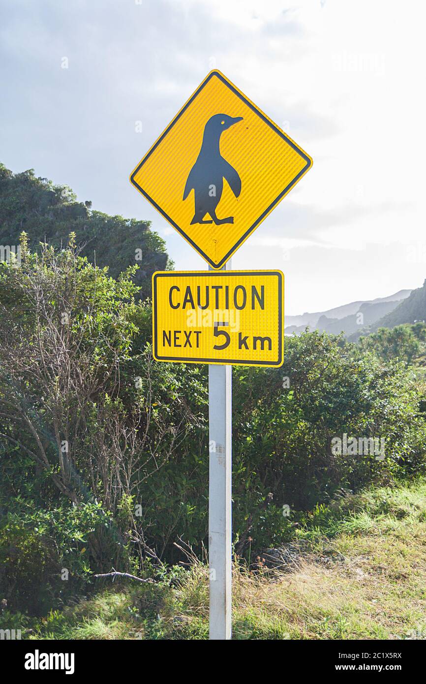 WARNING - PENQUINS Stock Photo