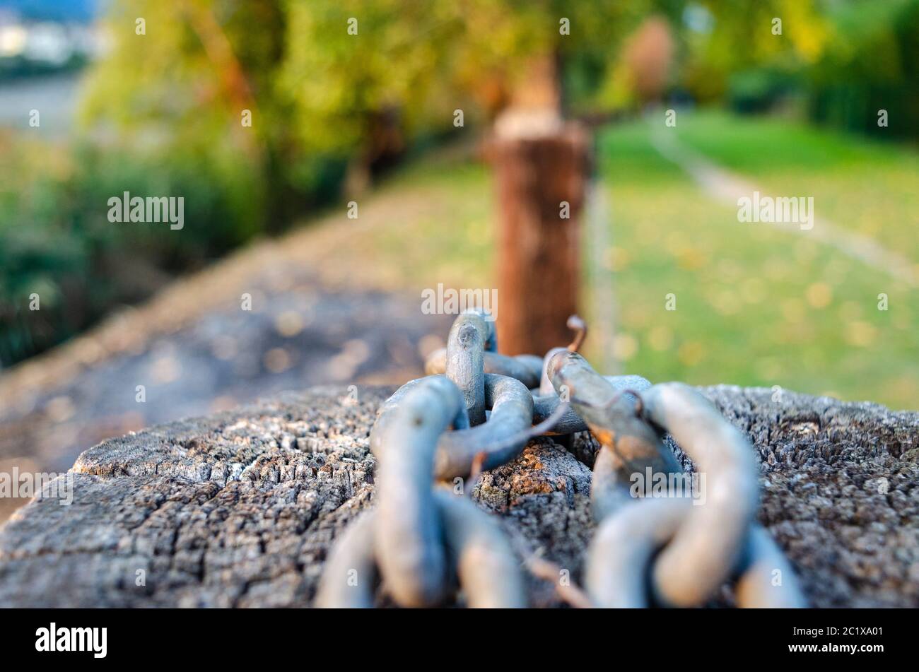 Foliage in backround hi-res stock photography and images - Alamy