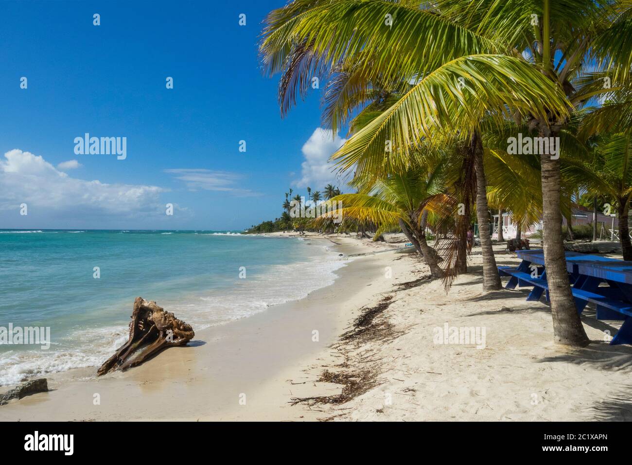 Dominican Republic on La Saona Island - Beach of Mano Juan Stock Photo