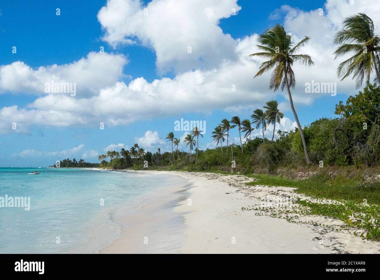 Caribbean Sea / Dominican Republic - La Saona Island, Parque Nacional del Este - Laguna los Flamencos Stock Photo