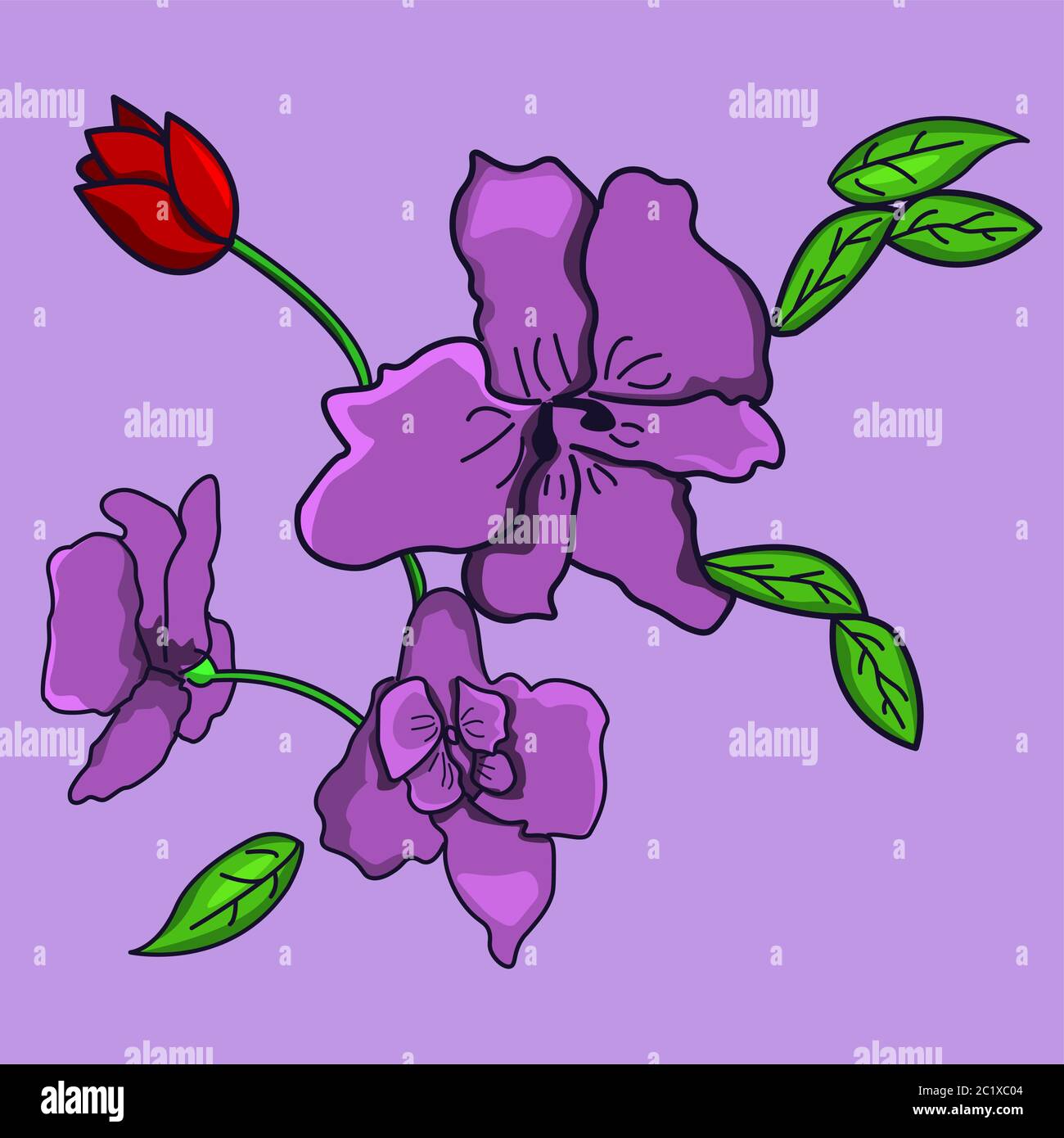 purple orchid flower vector illustration. Isolated Stock Vector