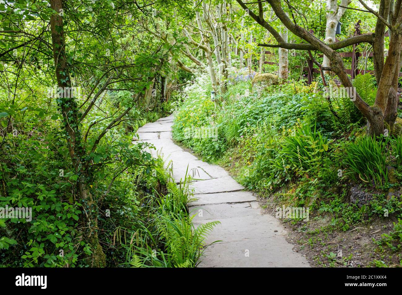Beautiful flagged public footpath through a wooded glen. Stock Photo