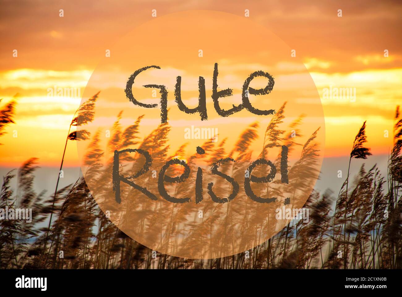 German Text Gute Reise Means Good Trip. Beach Grass At Sunrise Or