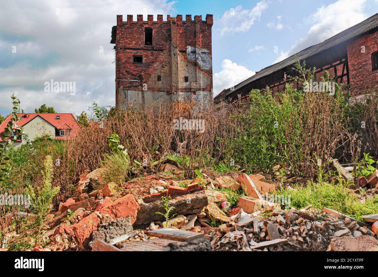 field of ruins Stock Photo - Alamy