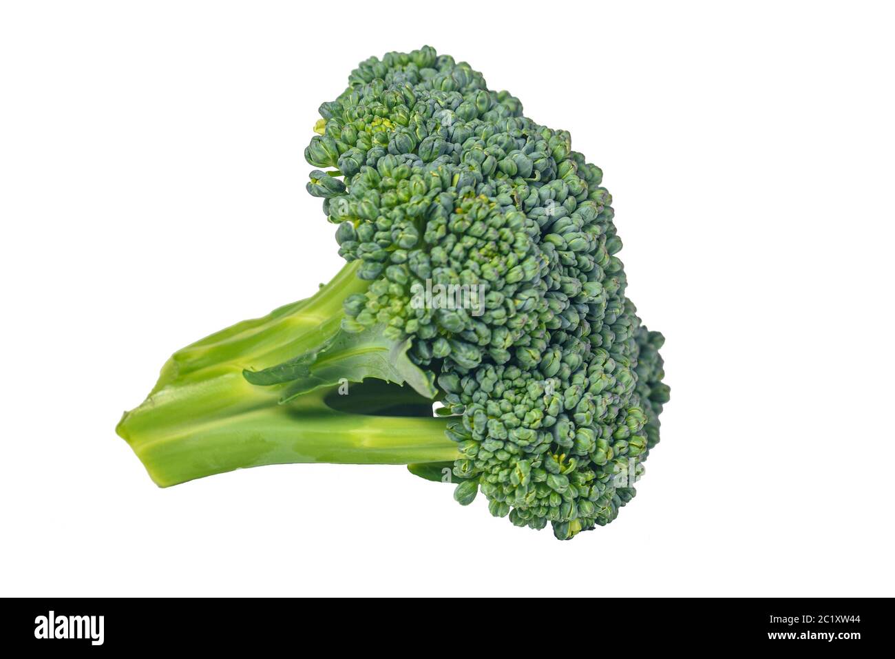 fresh broccoli closeup on white isolated background Stock Photo