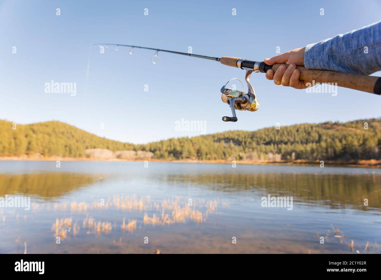 Fishing rod in angler's hand on small calm lake Stock Photo