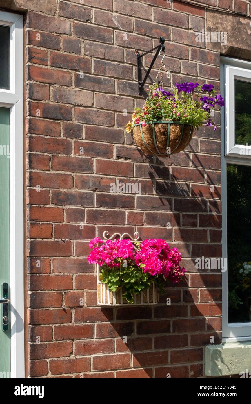 Hanging basket outside English cottage Stock Photo Alamy