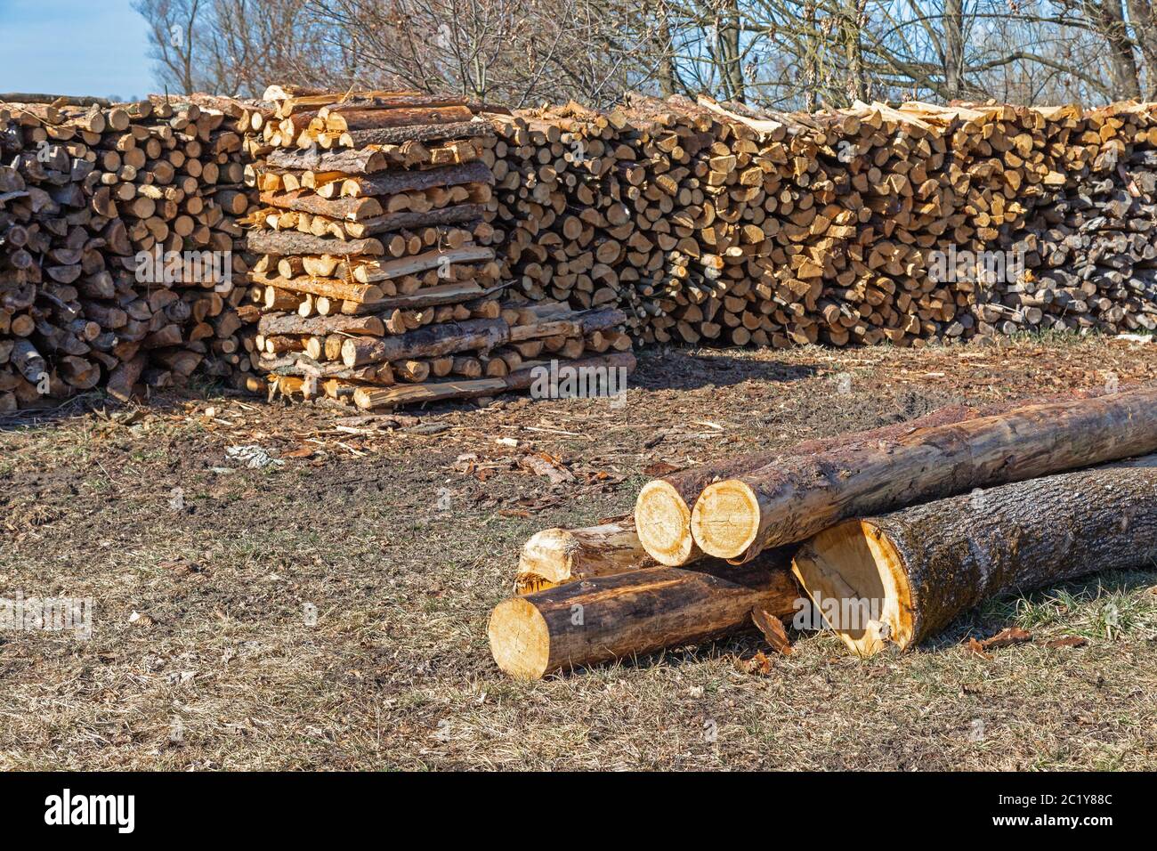 Stack logs chopped wood firewood pile hi-res stock photography and ...