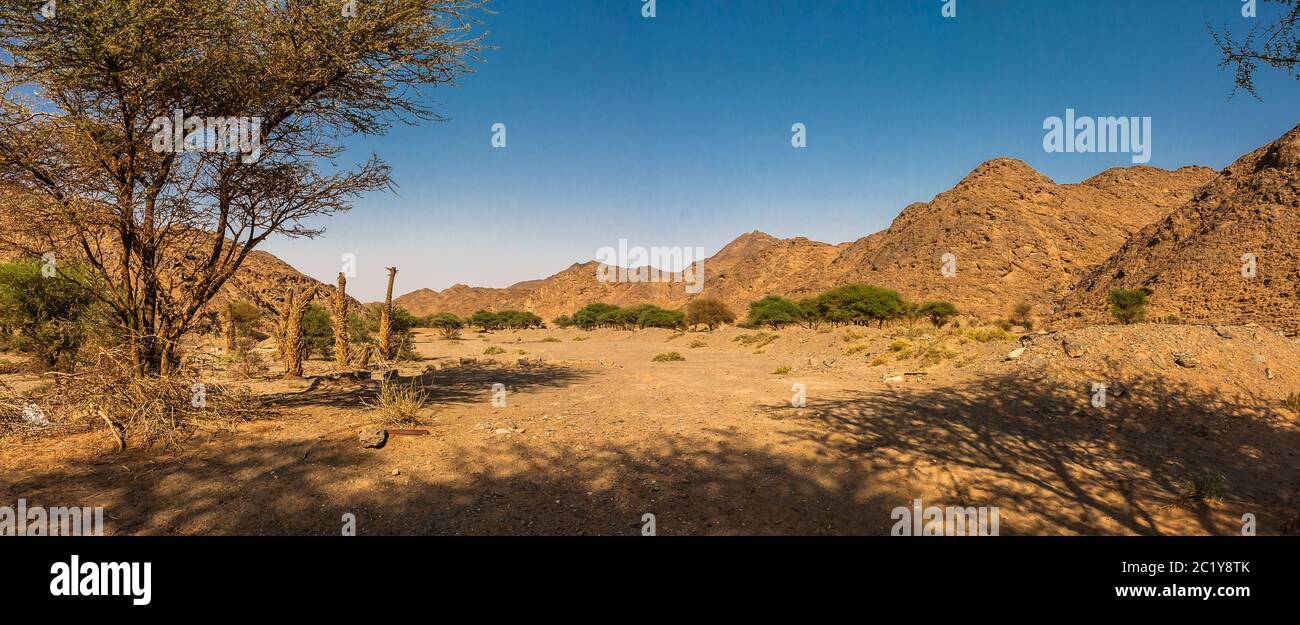 A panorama of Wadi Massal, Riyadh Province, Saudi Arabia Stock Photo