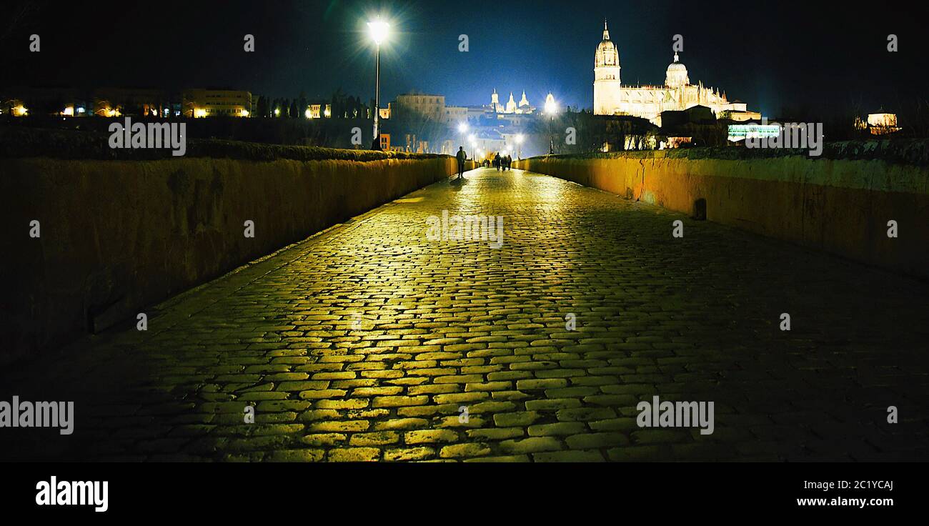 Cobbled Roman bridge at night time, Salamanca Stock Photo