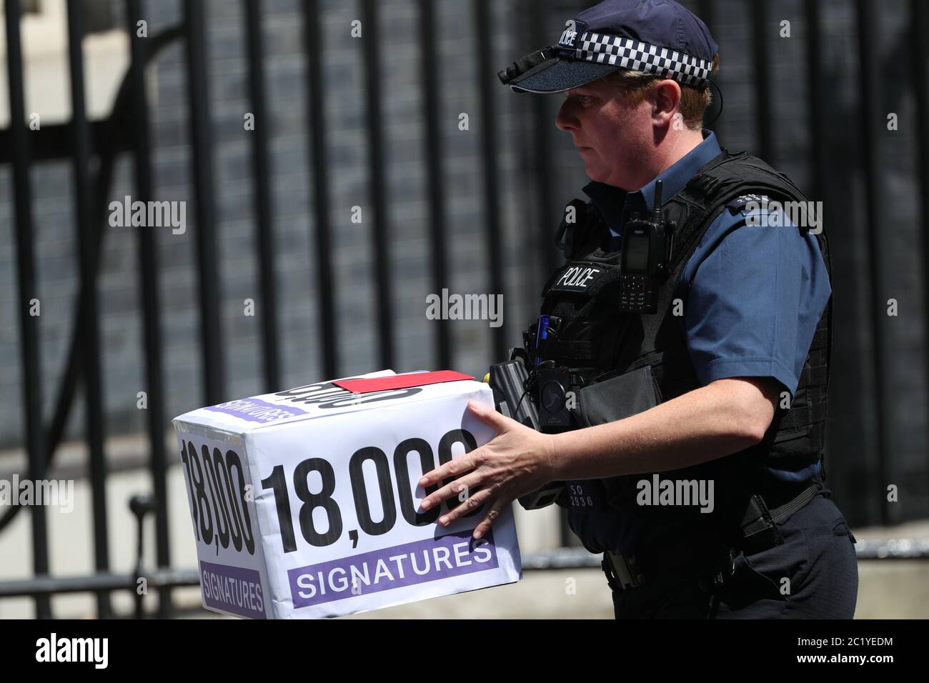 A police officer delivers a petition from Disability rights activist, Heidi Crowter, calling for changes to the new abortion laws in Northern Ireland, to 10 Downing Street, London. Stock Photo