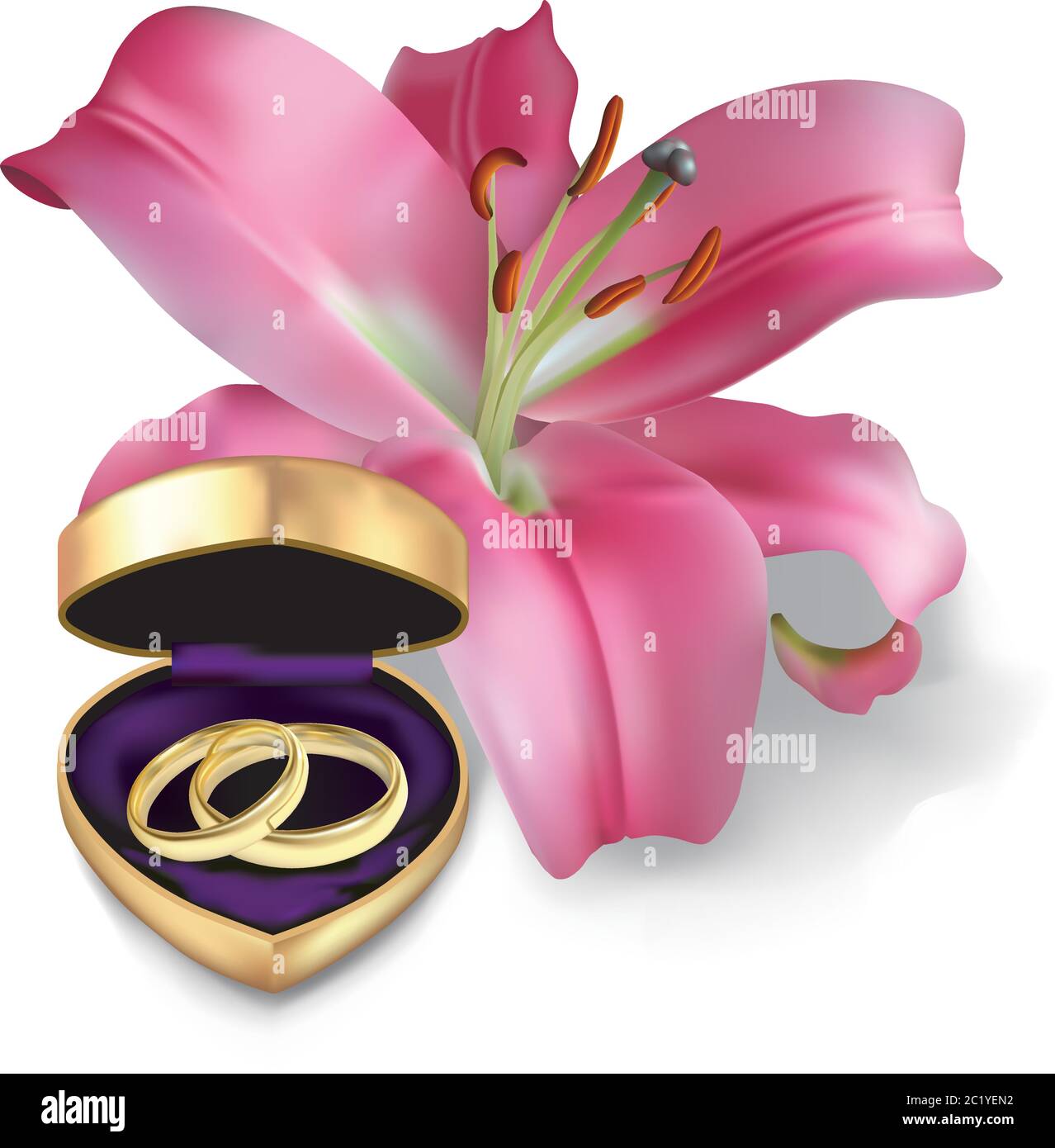 Two wedding rings in a little box in the shape of heart and pink lily. Isolated on the white background. Stock Vector