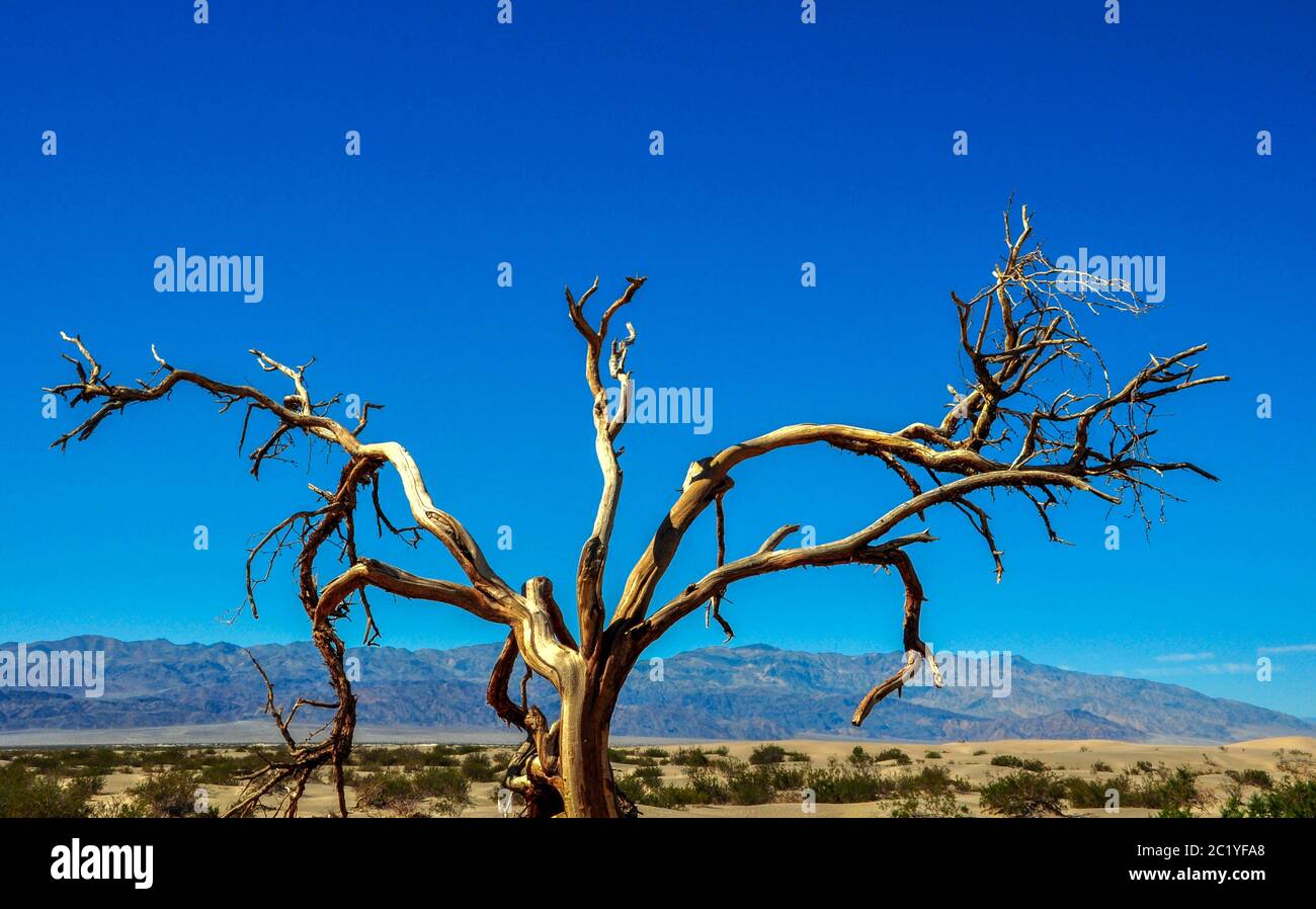 Valley of death hi-res stock photography and images - Alamy