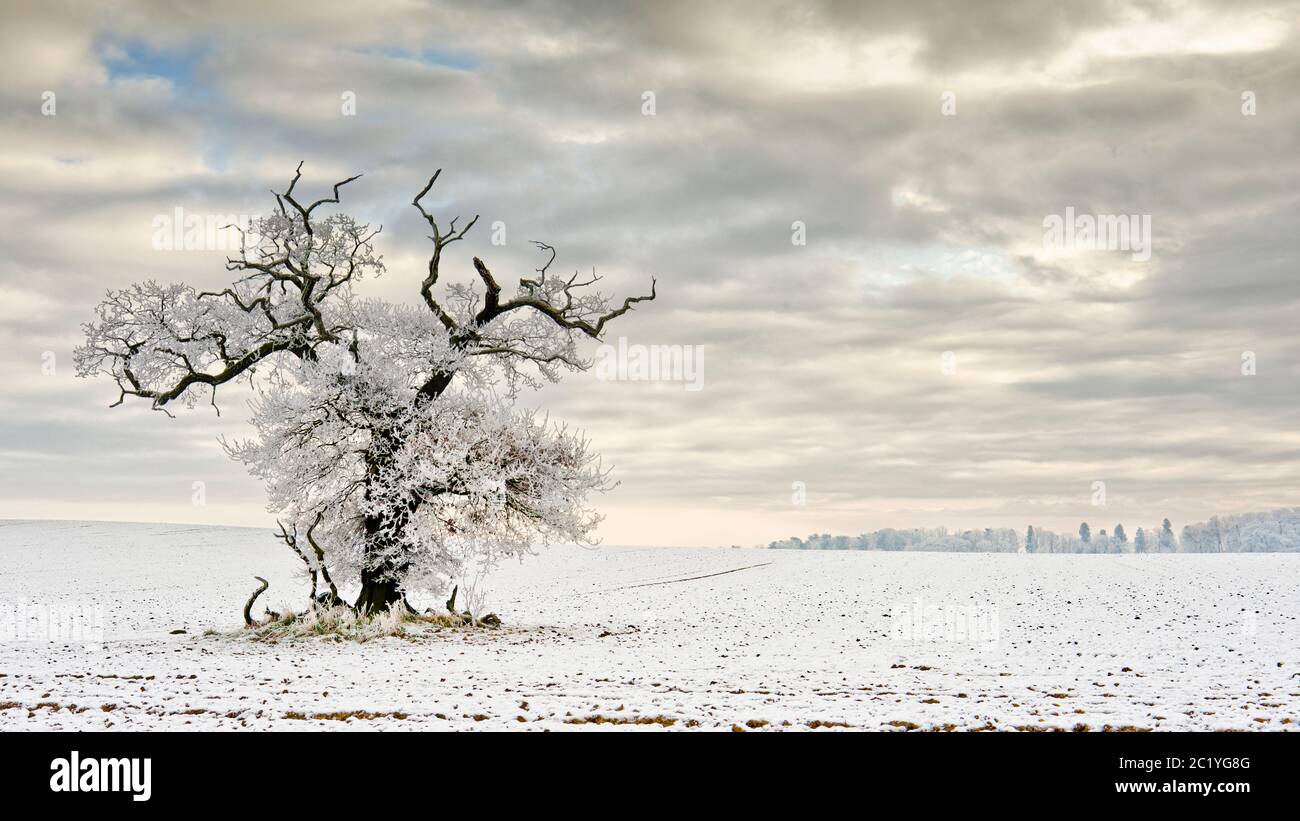 A Winters day Stock Photo
