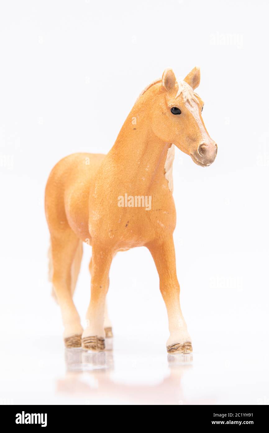 close up of a brown plastic horse head isolated on a white background