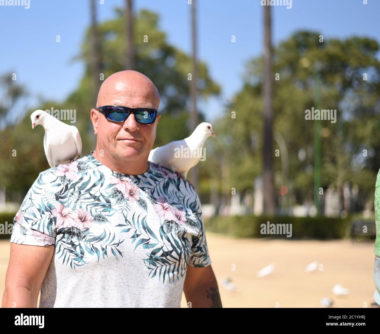 Doves at Plaza de las Americas, Seville Stock Photo
