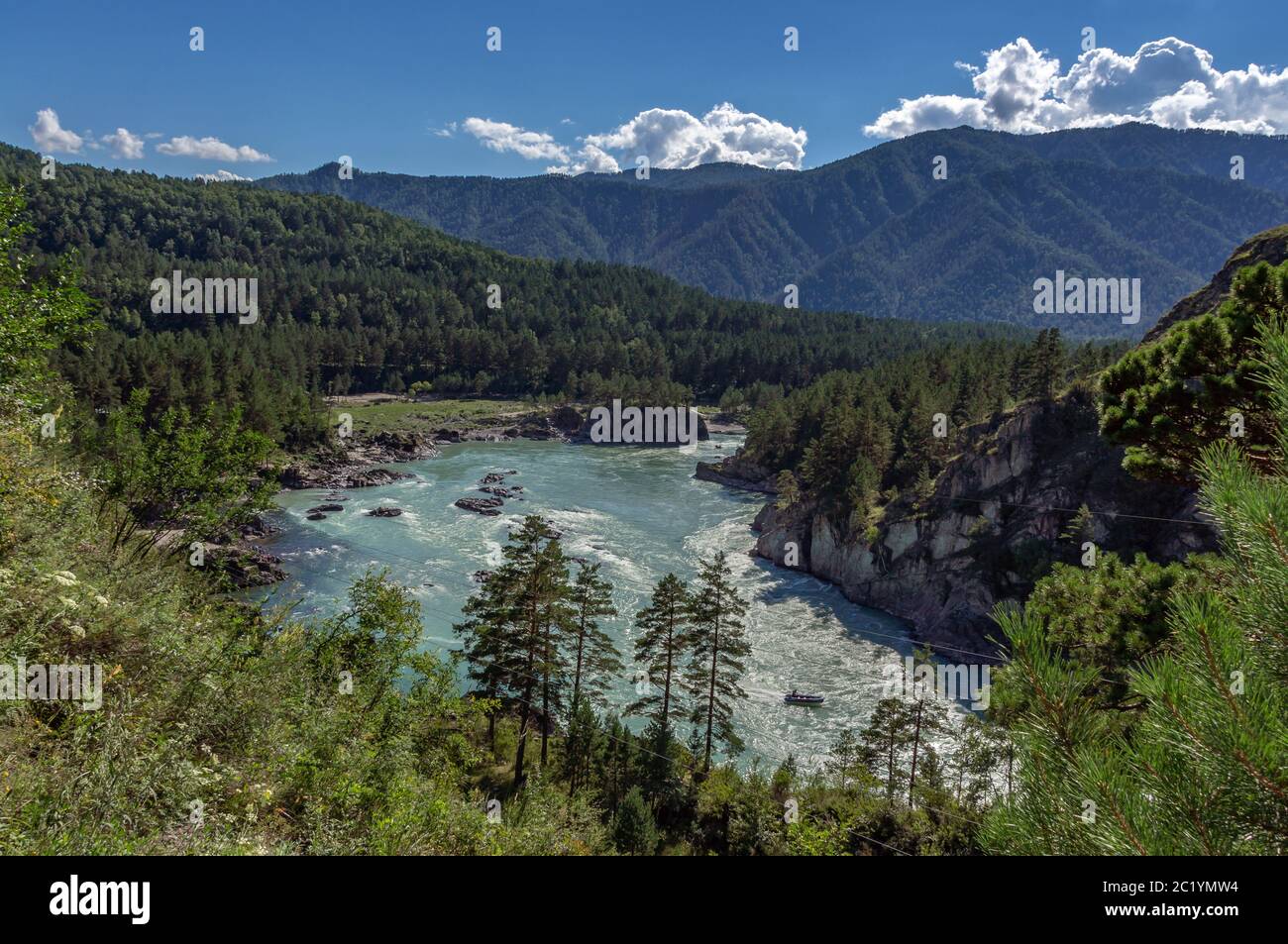Katun river in Altai flows between the mountains covered with greenery Stock Photo