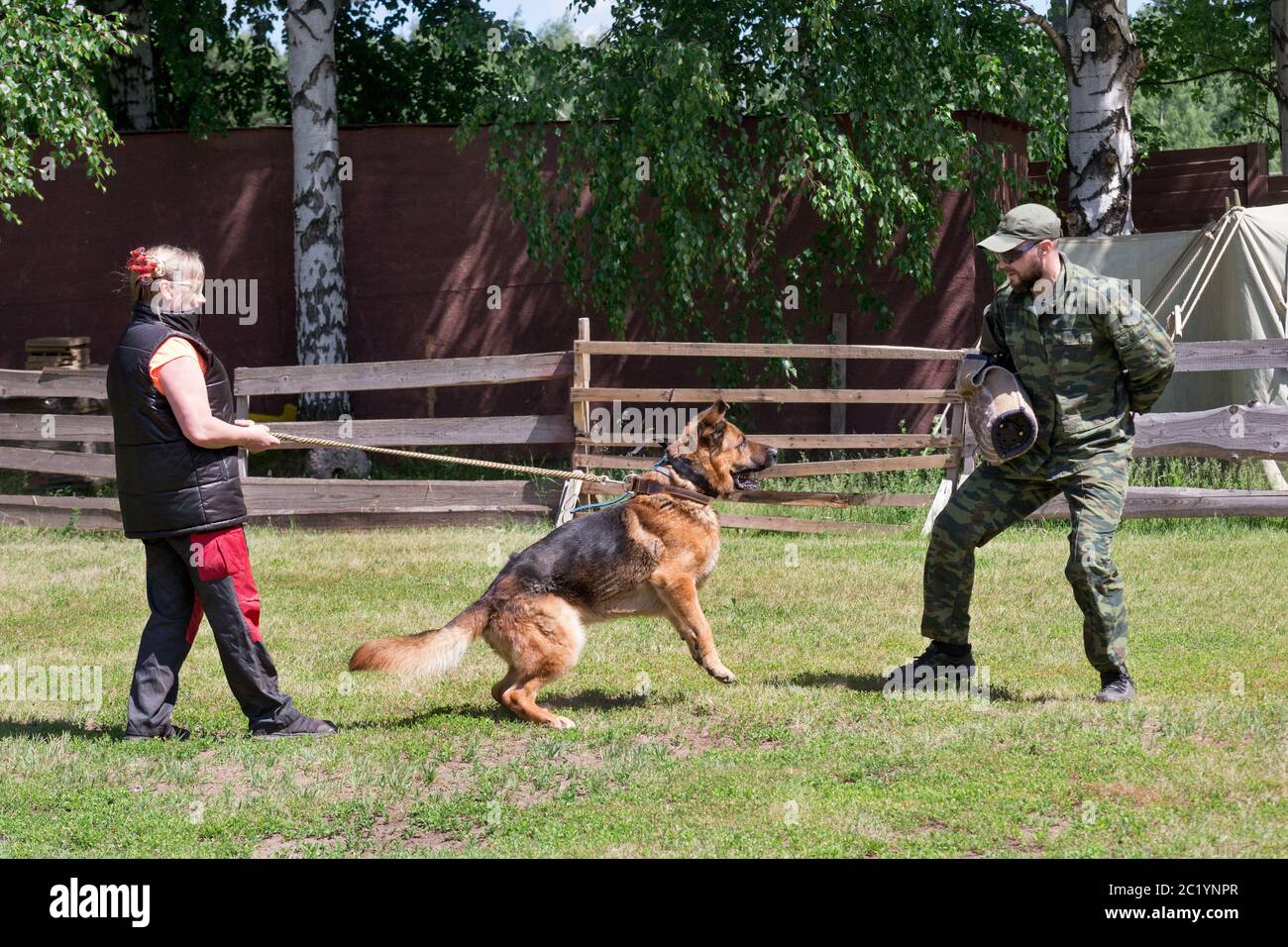 Russia, Izhevsk - June 14, 2020: Dog trainer with a german shepherd dog. Training dog obedience skills. Dog training center. Stock Photo