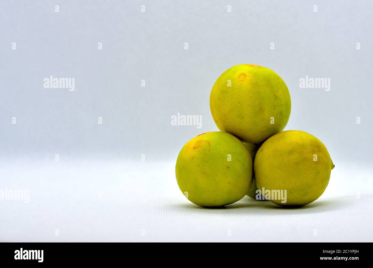 The lemon, Citrus limon, is a species of small evergreen tree in the flowering plant family Rutaceae, native to South Asia, primarily North eastern In Stock Photo