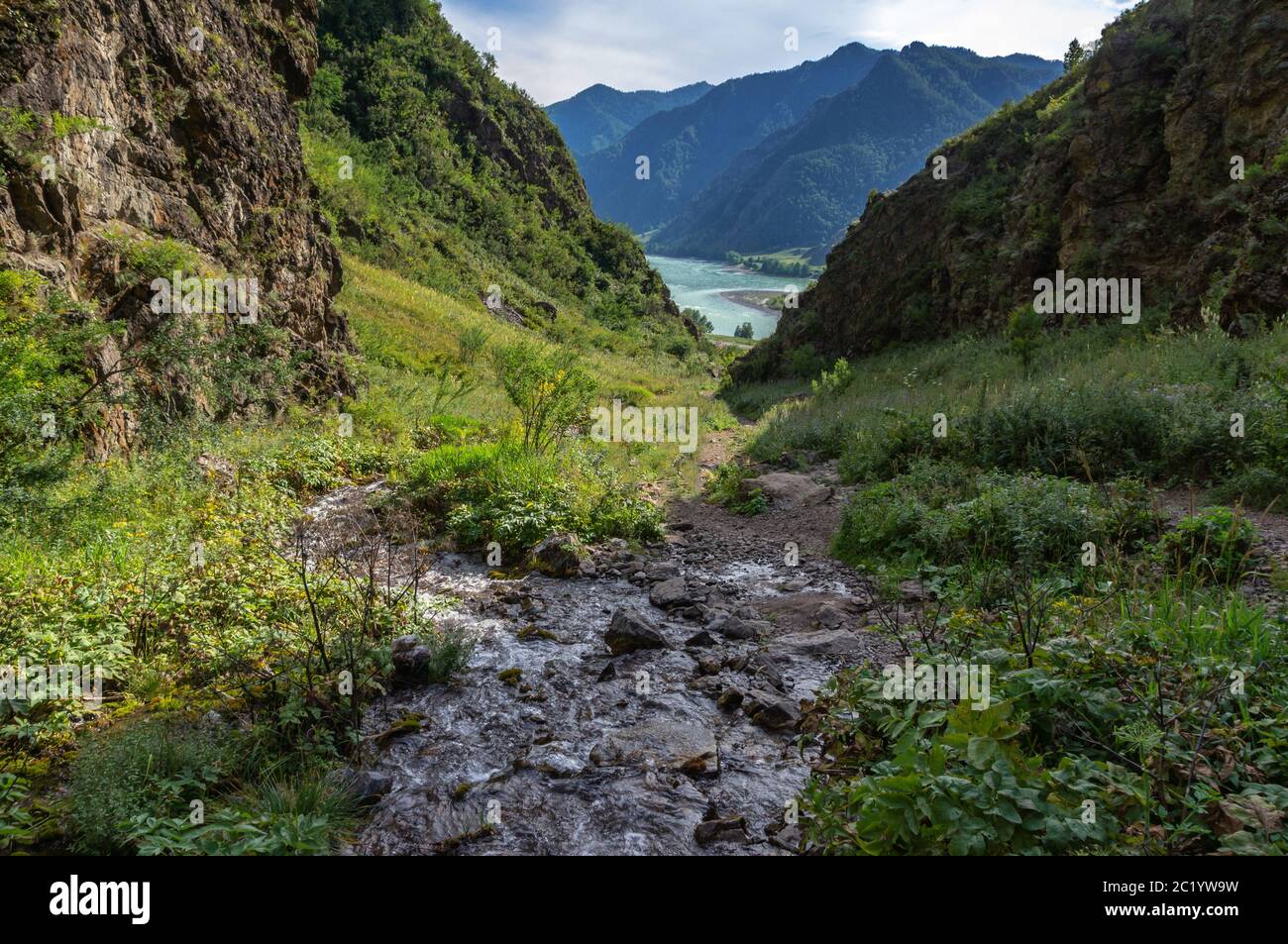 a small stream flows between the mountains and flows into the river Stock Photo