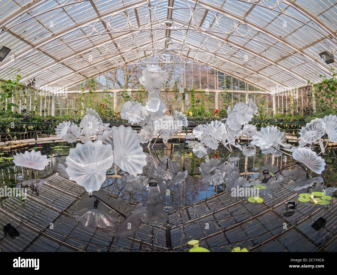 Reflections On Nature - Chihuly Sculpture at Kew Gardens Stock Photo