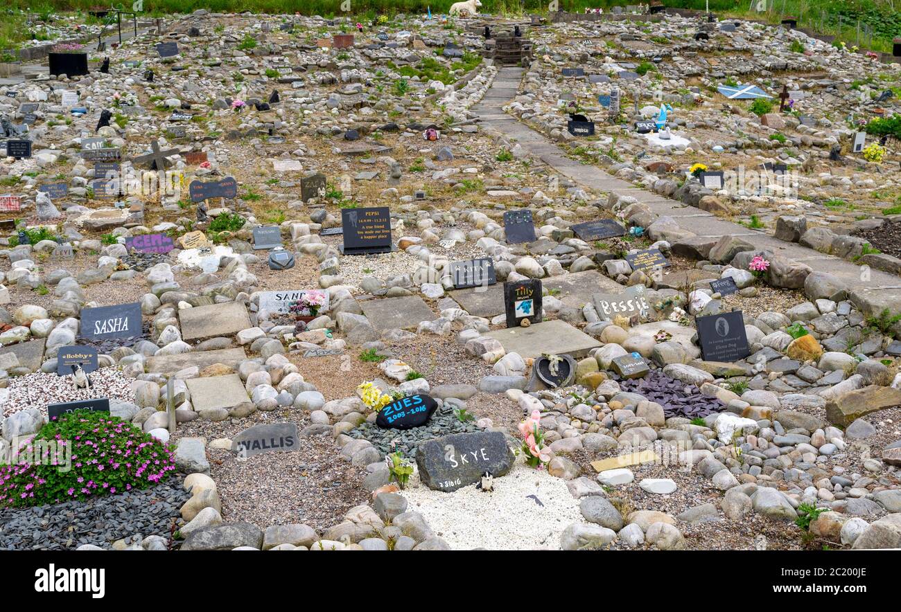 CULLEN TOWN MORAY COAST SCOTLAND PET CEMETERY NEAR TO THE SEA SHORE A PLETHORA OF GRAVESTONES AND FLOWERS Stock Photo