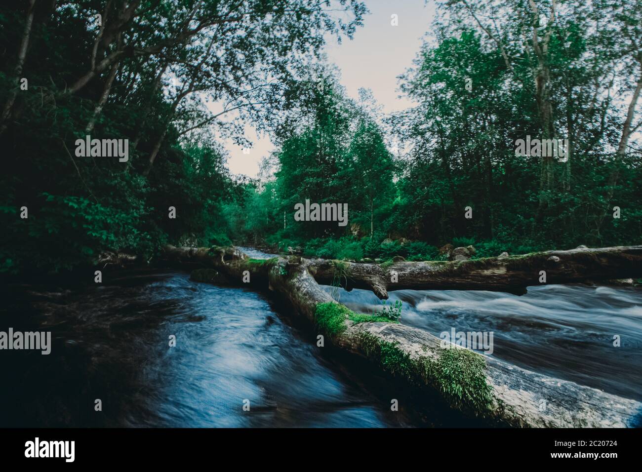 Great photo of a river with running water through a fallen broken tree ...