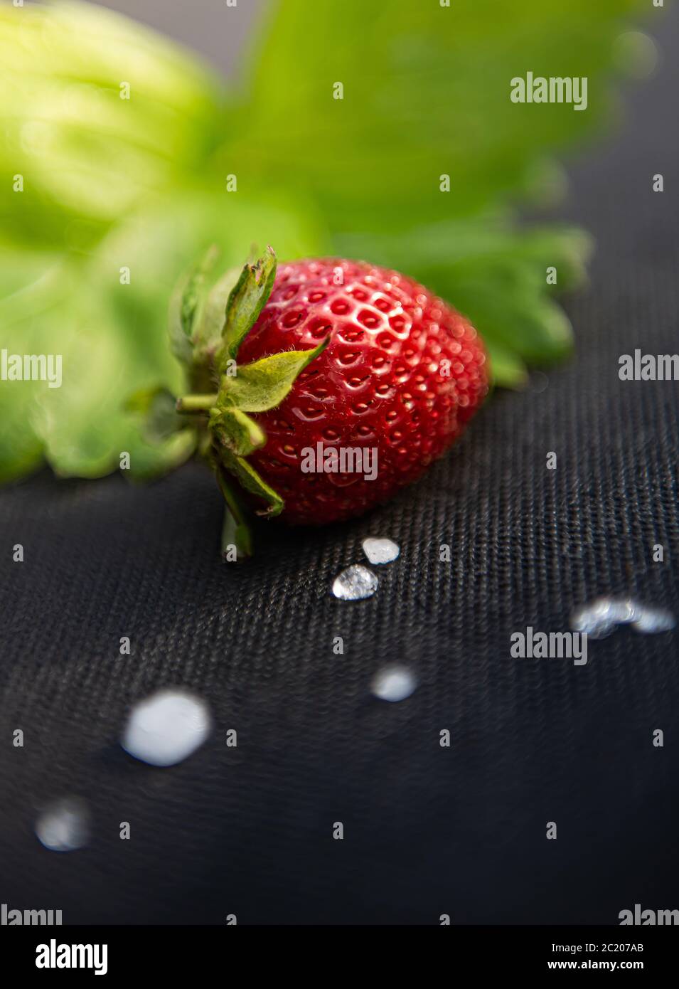Red strawberry with few white hailstones and unfocused strawberry leaf on black material used for cultivating this berry in garden. Vertical backgroun Stock Photo
