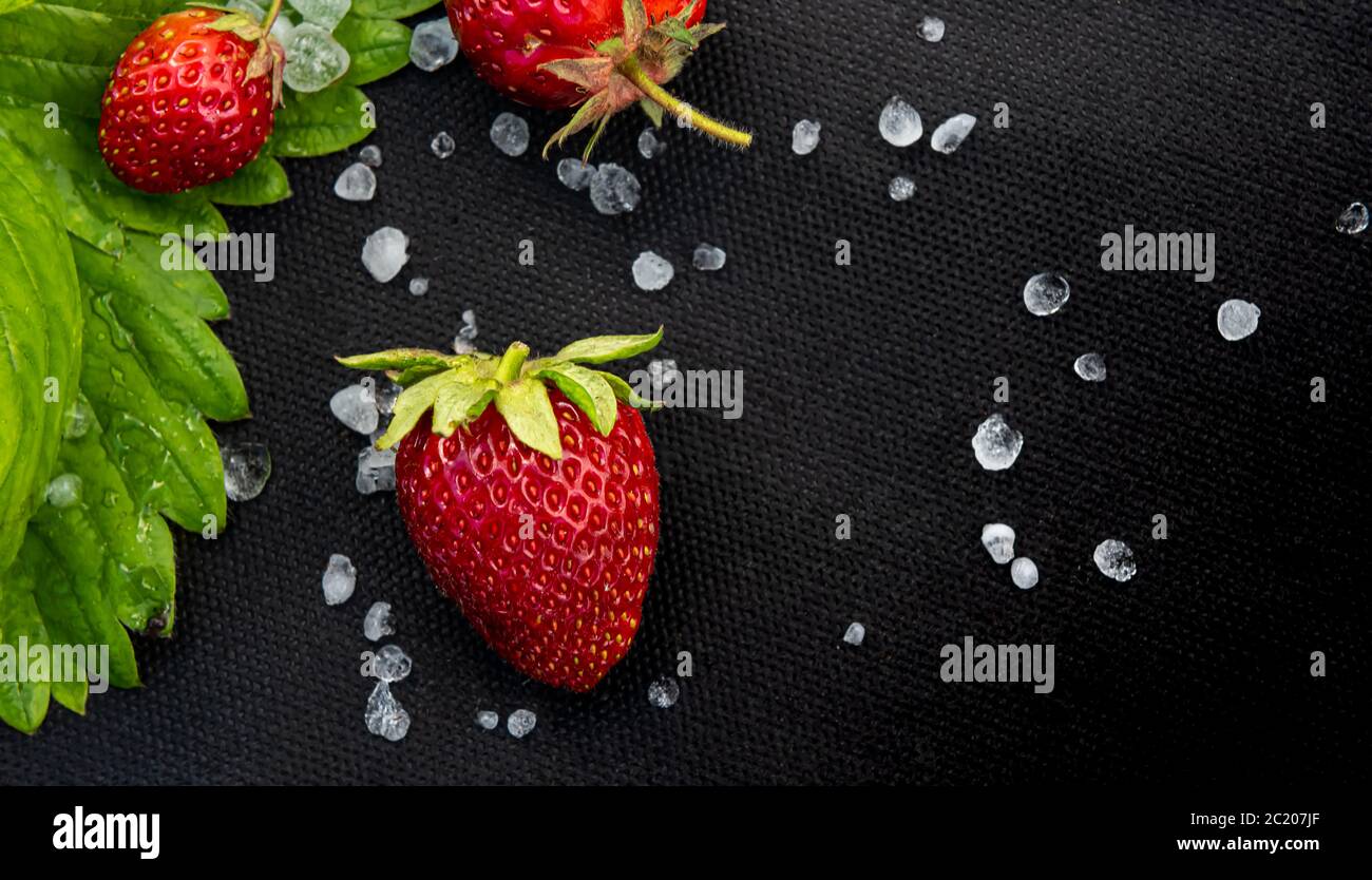 Fresh red strawberries with few white hailstones and leaf on black textile material used for cultivating this berry in garden. Horizontal background w Stock Photo