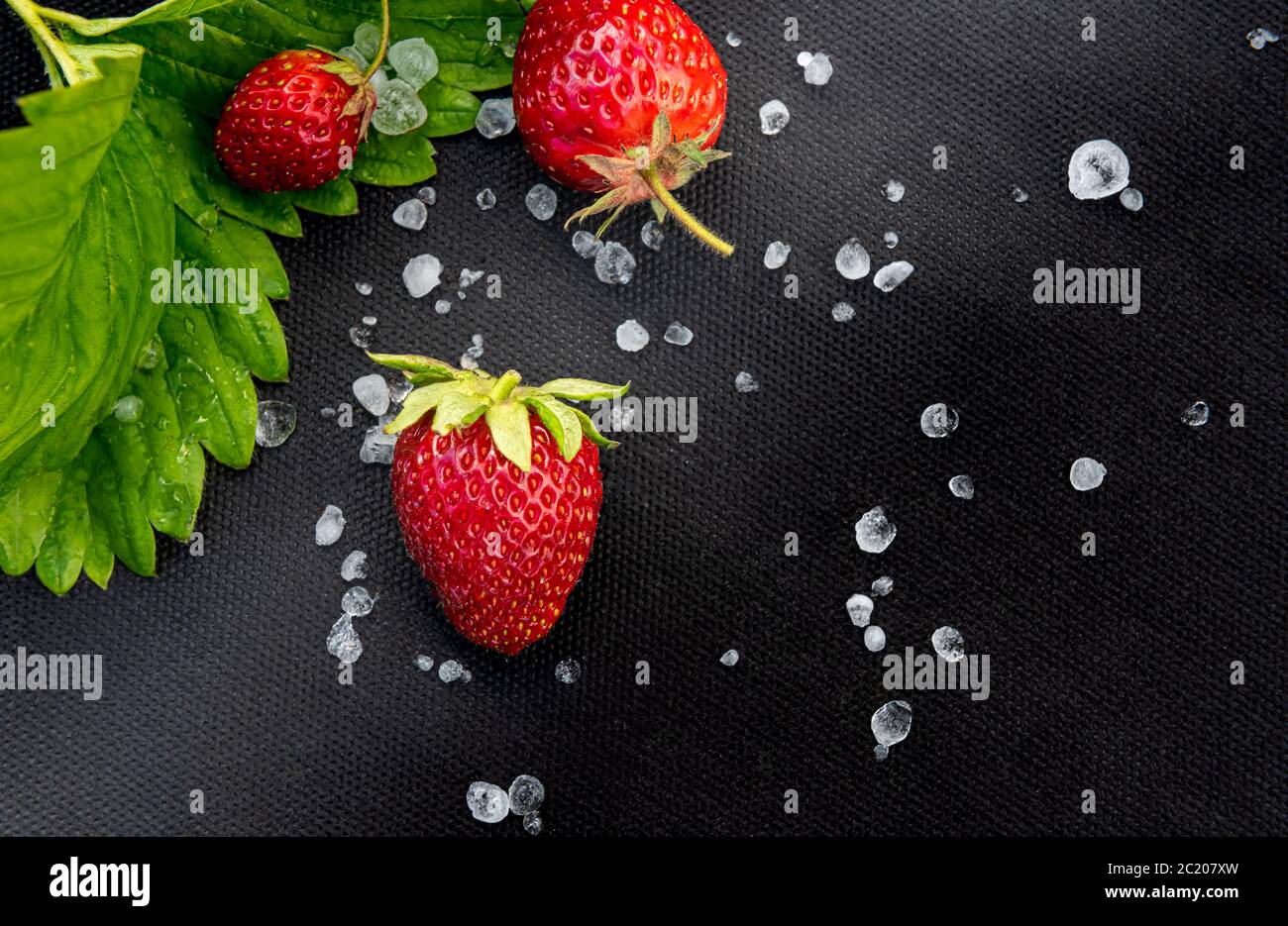 Organic red strawberries with few white hailstones and leaf on black textile material used for cultivating this berry in garden. Horizontal background Stock Photo