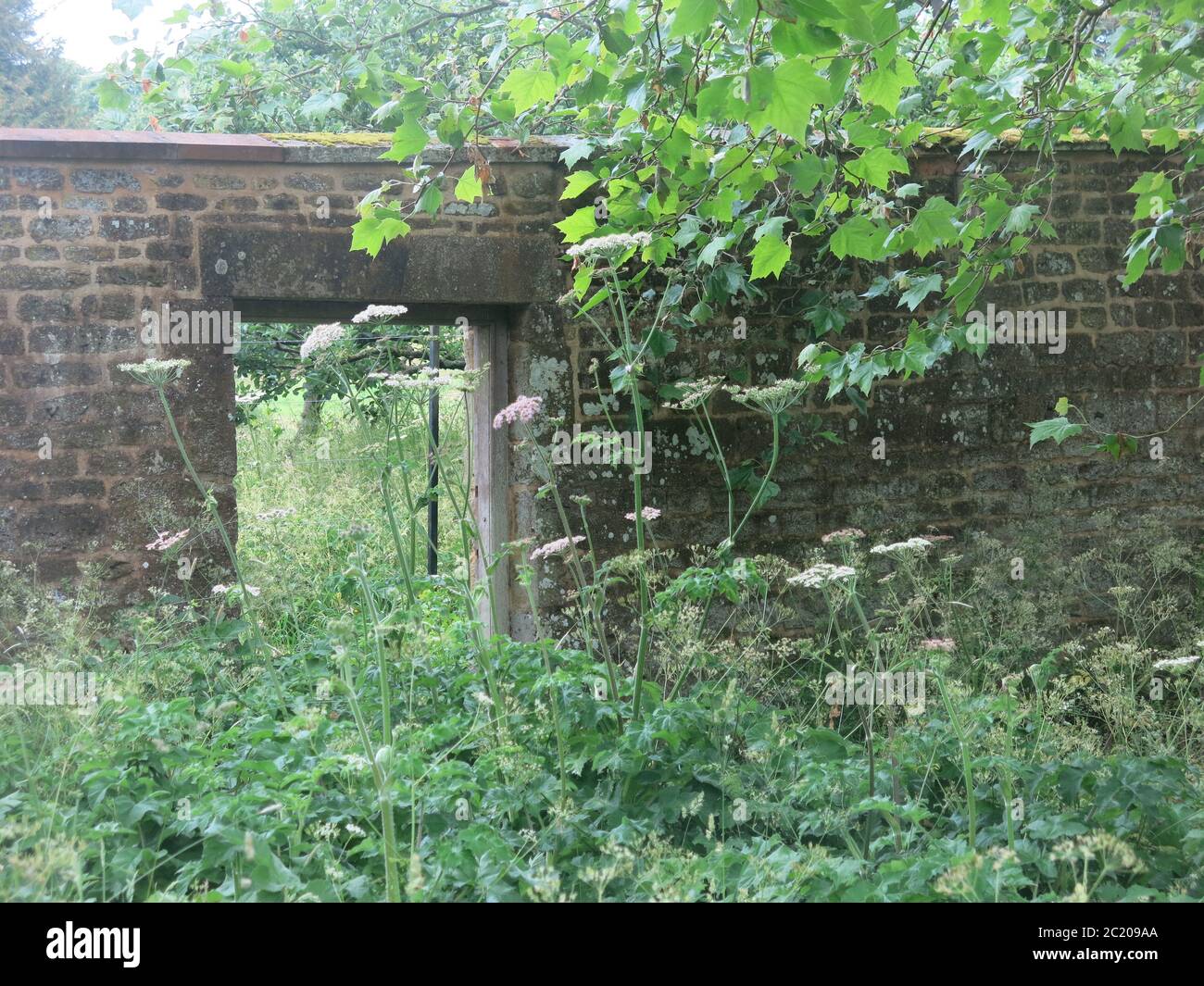 Secret Garden Door High Resolution Stock Photography And Images Alamy