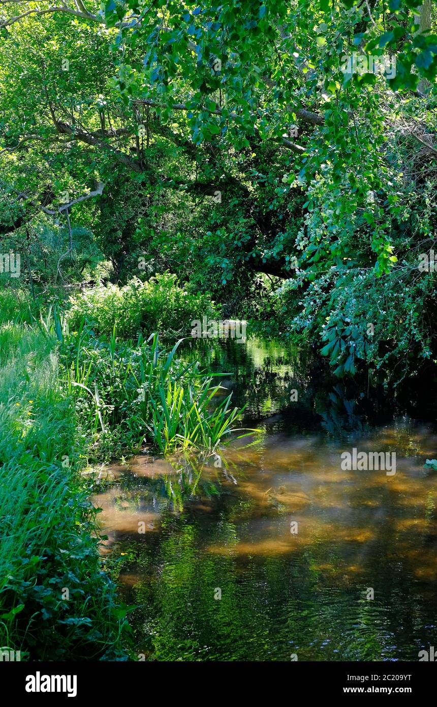 river glaven, bayfield estate, north norfolk, england Stock Photo