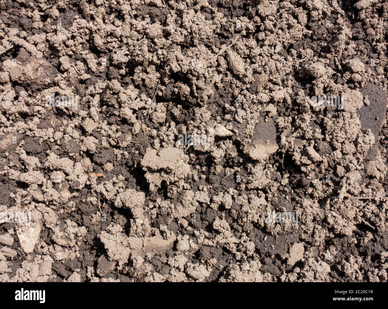 Wet and dry dirt topsoil loam detail with texture Stock Photo