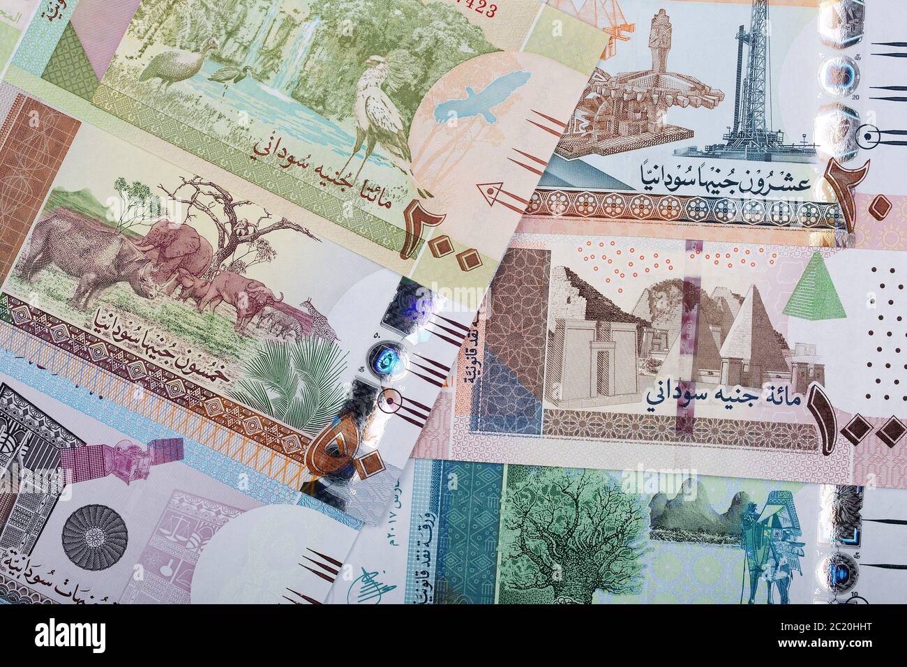 Sudanese pounds a background Stock Photo