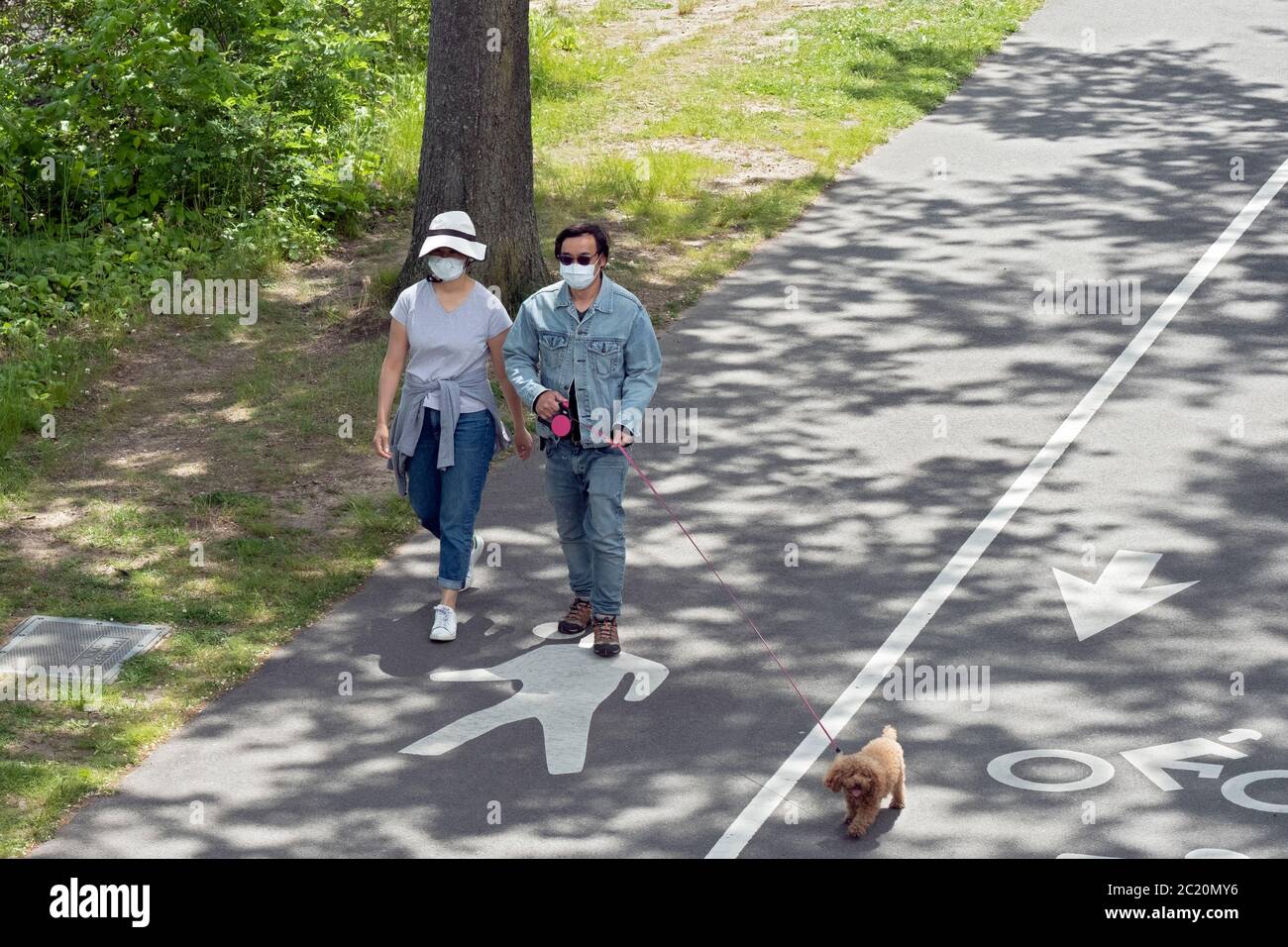 An asian American couple, likely Korean, exercise walk with their dog on a path near te Bayside Marina in Queens, New York City. Stock Photo