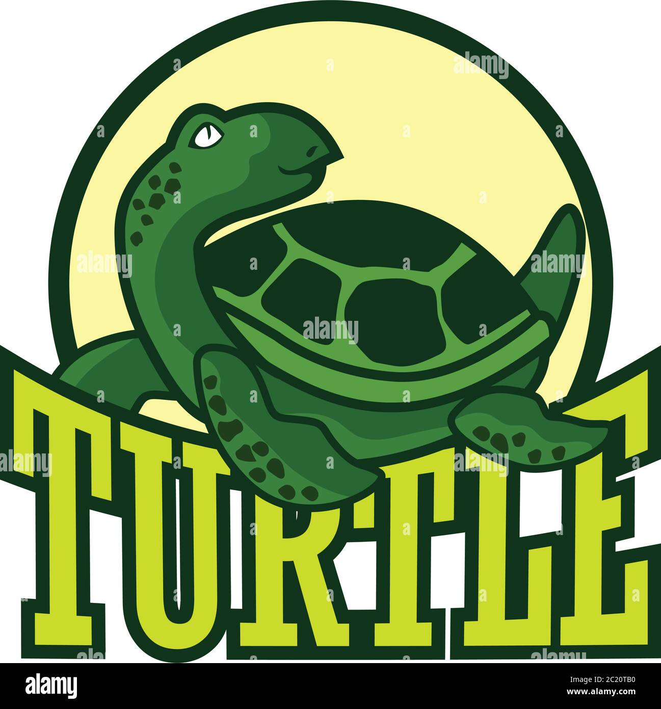 green turtle logo, vector illustration Stock Vector Image & Art Alamy