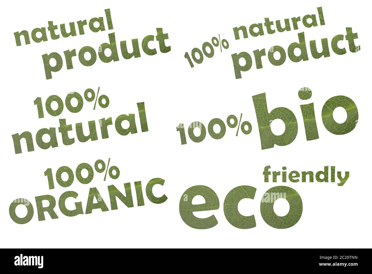Collection of different keywords like eco friendly, 100 % bio or 100 % organic - cut out of a green leaf Stock Photo