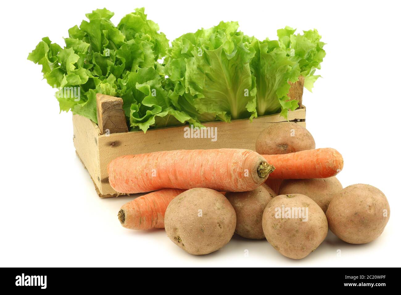 Fresh endive and some winter vegetables in a wooden crate on a white background Stock Photo