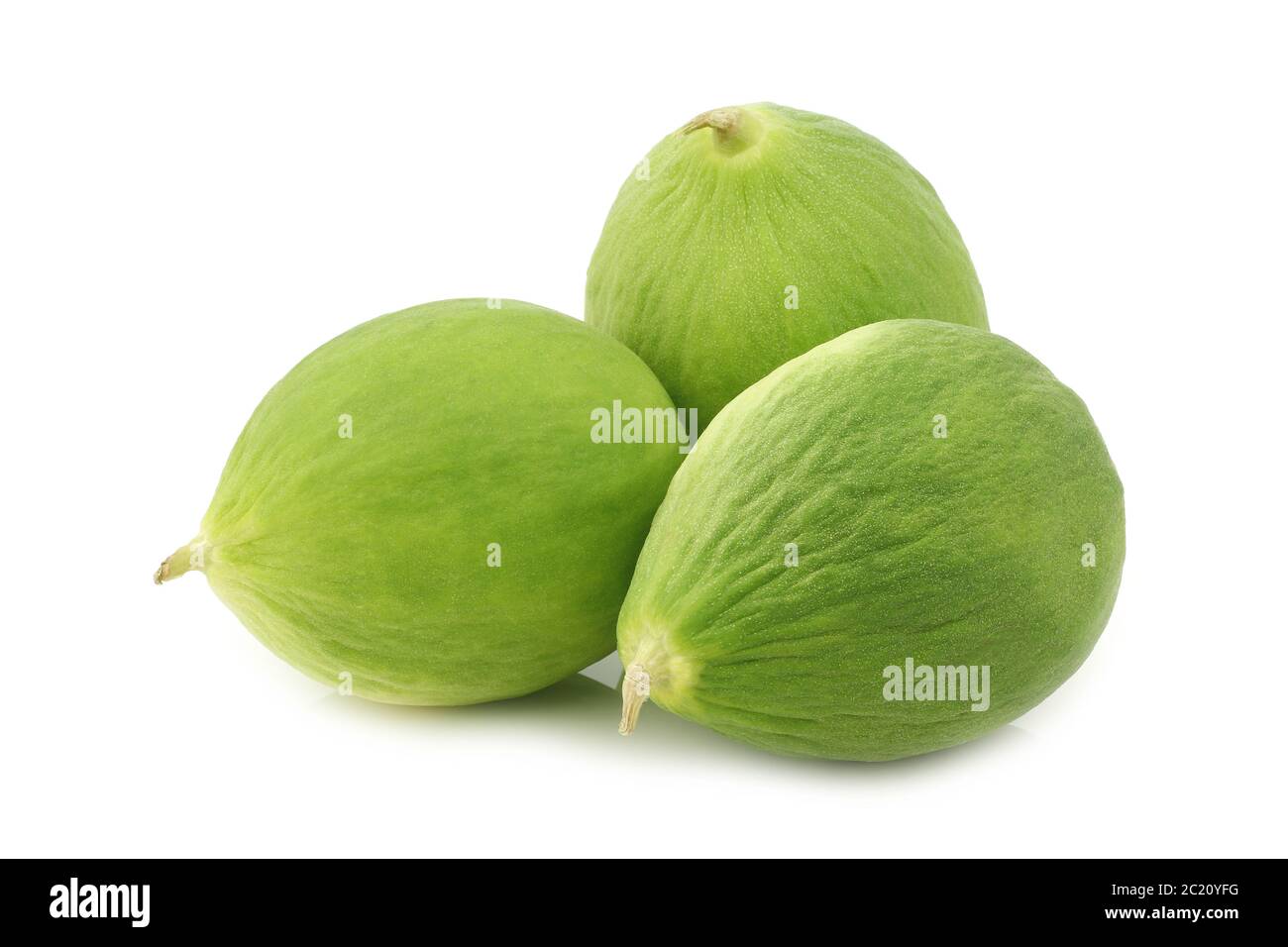 fresh cumelo's (mix between a cucumber and a melon) on a white background Stock Photo