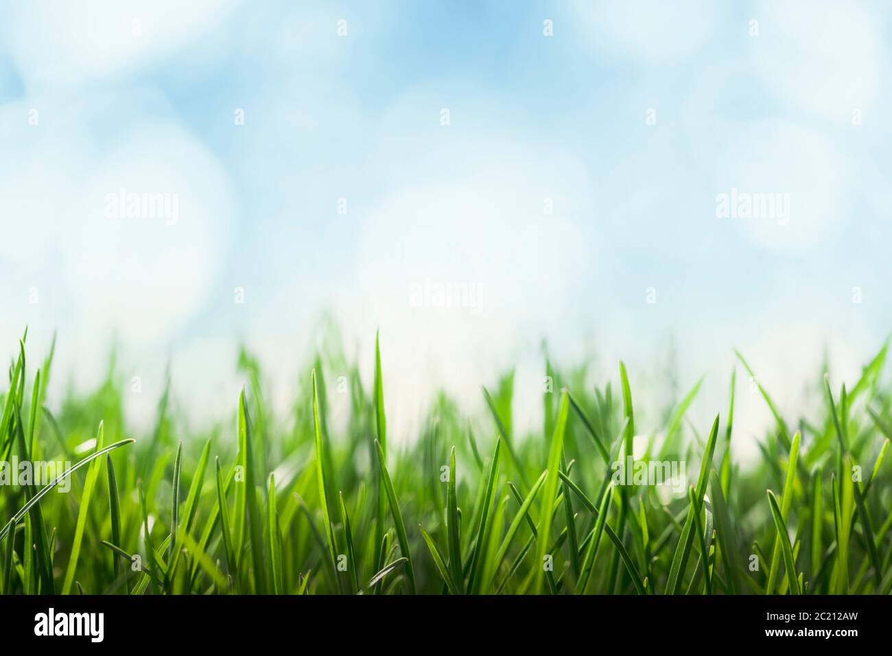 Green grass and blue sky background Stock Photo Alamy
